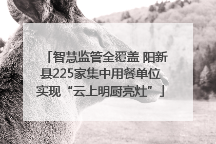 智慧监管全覆盖 阳新县225家集中用餐单位实现“云上明厨亮灶”