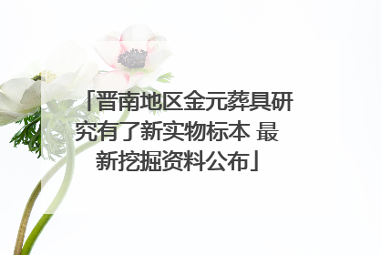 晋南地区金元葬具研究有了新实物标本 最新挖掘资料公布