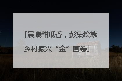 晨曦甜瓜香，彭集绘就乡村振兴“金”画卷