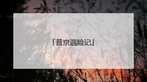 普京遇险记