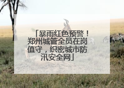 暴雨红色预警！郑州城管全员在岗值守，织密城市防汛安全网