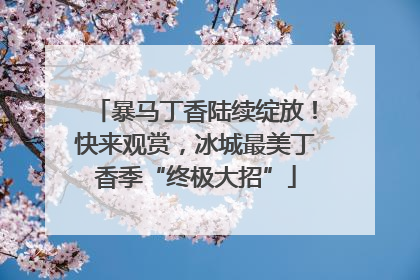 暴马丁香陆续绽放！快来观赏，冰城最美丁香季“终极大招”