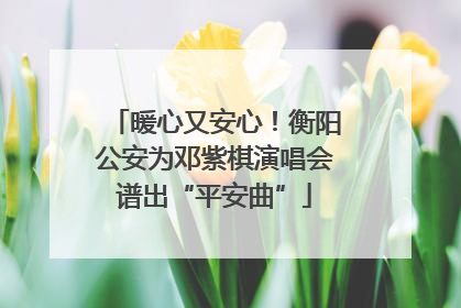 暖心又安心！衡阳公安为邓紫棋演唱会谱出“平安曲”