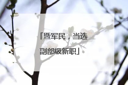 暨军民，当选副部级新职