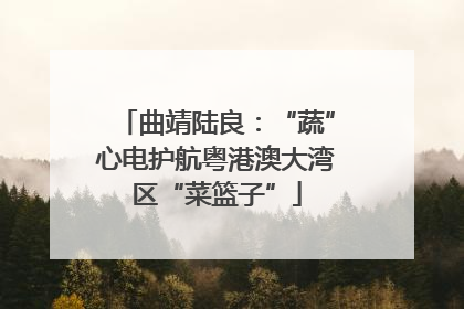 曲靖陆良：“蔬”心电护航粤港澳大湾区“菜篮子”