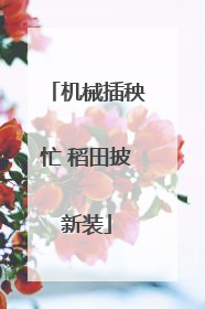 机械插秧忙 稻田披新装