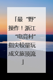 最“野”操作！浙江“电竞村”指尖较量玩成文旅顶流