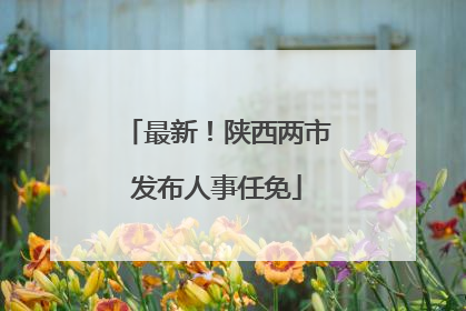 最新！陕西两市发布人事任免