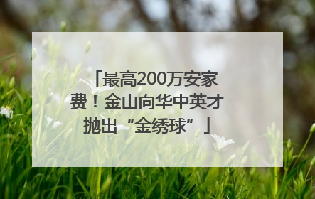 最高200万安家费！金山向华中英才抛出“金绣球”