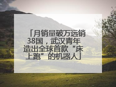 月销量破万远销38国，武汉青年造出全球首款“床上跑”的机器人