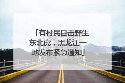 有村民目击野生东北虎，黑龙江一地发布紧急通知