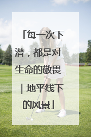 每一次下潜，都是对生命的敬畏｜地平线下的风景