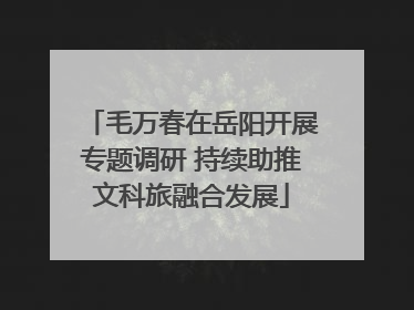 毛万春在岳阳开展专题调研 持续助推文科旅融合发展