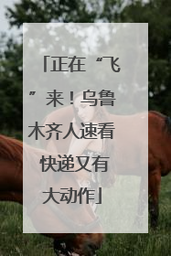 正在“飞”来！乌鲁木齐人速看 快递又有大动作