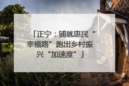 正宁：铺就惠民“幸福路”跑出乡村振兴“加速度”