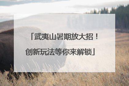武夷山暑期放大招！创新玩法等你来解锁