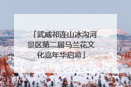武威祁连山冰沟河景区第二届马兰花文化嘉年华启幕