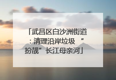 武昌区白沙洲街道：清理沿岸垃圾 “扮靓”长江母亲河