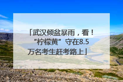 武汉倾盆暴雨，看！“柠檬黄”守在8.5万名考生赶考路上