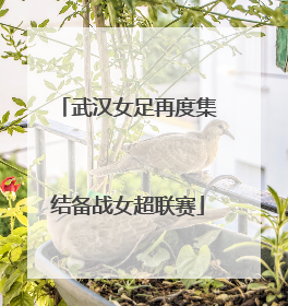 武汉女足再度集结备战女超联赛