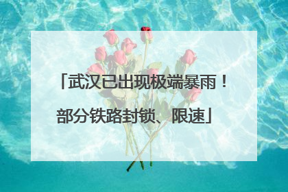 武汉已出现极端暴雨！部分铁路封锁、限速