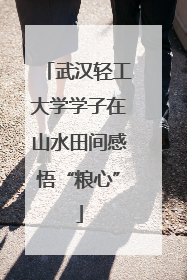武汉轻工大学学子在山水田间感悟“粮心”