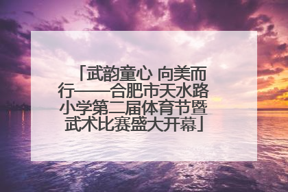 武韵童心 向美而行——合肥市天水路小学第二届体育节暨武术比赛盛大开幕
