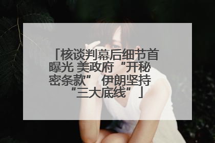 核谈判幕后细节首曝光 美政府“开秘密条款” 伊朗坚持“三大底线”