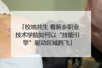 校地共生 看新乡职业技术学院如何以“技能引擎”驱动区域腾飞