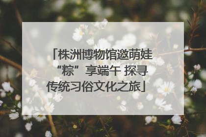 株洲博物馆邀萌娃“粽”享端午 探寻传统习俗文化之旅