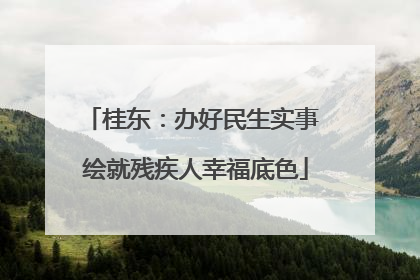 桂东：办好民生实事 绘就残疾人幸福底色