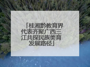 桂湘黔教育界代表齐聚广西三江共探民族美育发展路径