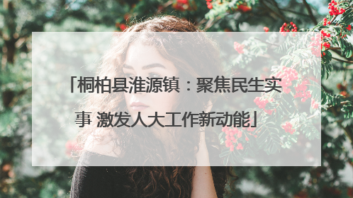桐柏县淮源镇：聚焦民生实事 激发人大工作新动能