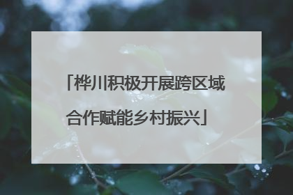 桦川积极开展跨区域合作赋能乡村振兴