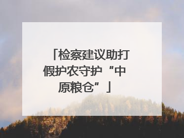 检察建议助打假护农守护“中原粮仓”