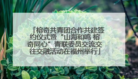 榕奇共青团合作共建签约仪式暨“山海和鸣 榕奇同心”青联委员交流交往交融活动在福州举行