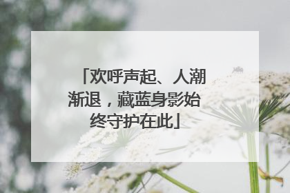 欢呼声起、人潮渐退，藏蓝身影始终守护在此