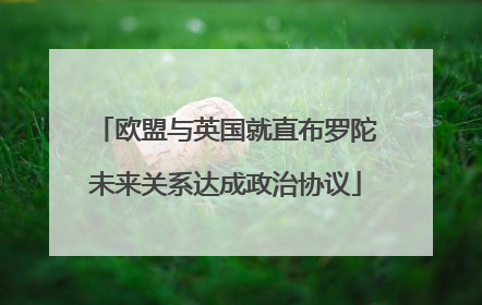 欧盟与英国就直布罗陀未来关系达成政治协议