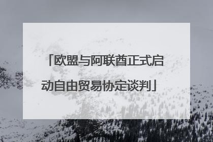 欧盟与阿联酋正式启动自由贸易协定谈判