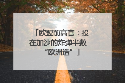 欧盟前高官：投在加沙的炸弹半数“欧洲造”