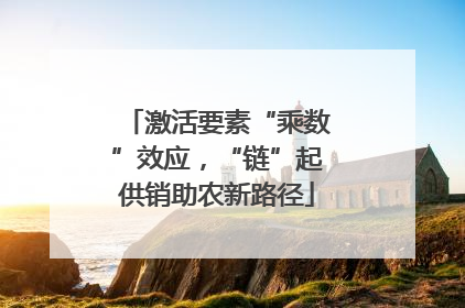 激活要素“乘数”效应，“链”起供销助农新路径