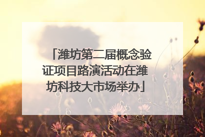 潍坊第二届概念验证项目路演活动在潍坊科技大市场举办