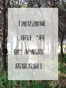 潍坊潍城：审计“利剑”护航高质量发展