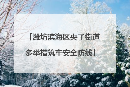 潍坊滨海区央子街道多举措筑牢安全防线