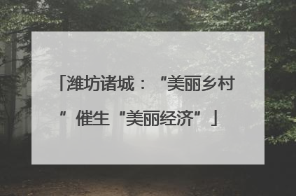 潍坊诸城：“美丽乡村”催生“美丽经济”