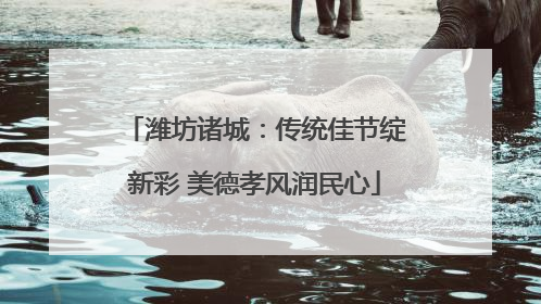 潍坊诸城：传统佳节绽新彩 美德孝风润民心