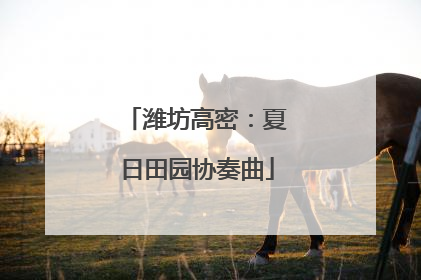 潍坊高密：夏日田园协奏曲