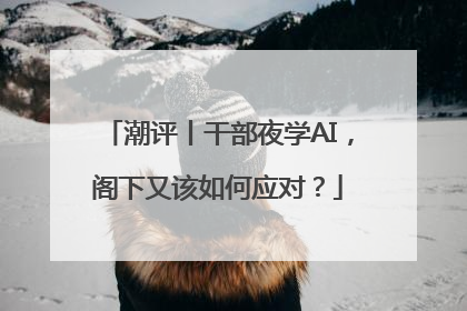 潮评丨干部夜学AI，阁下又该如何应对？