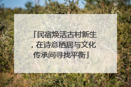 民宿焕活古村新生，在诗意栖居与文化传承间寻找平衡