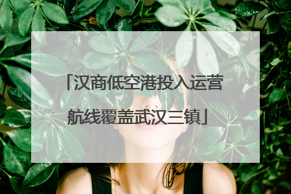 汉商低空港投入运营 航线覆盖武汉三镇